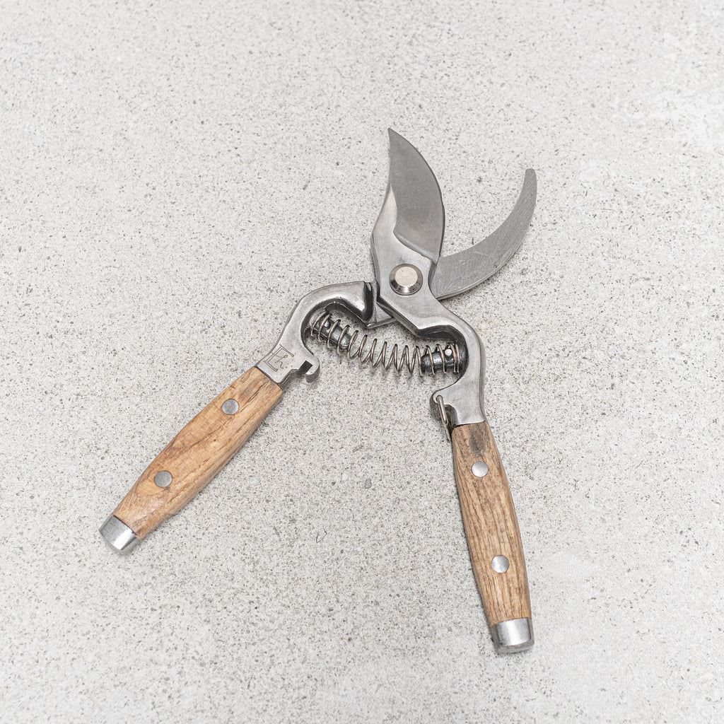 Secateurs Ash Handled