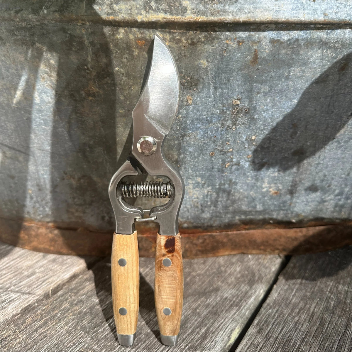 Secateurs Ash Handled
