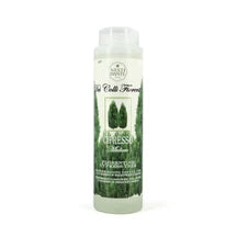 Nesti Dante Fiorentini Shower Gel