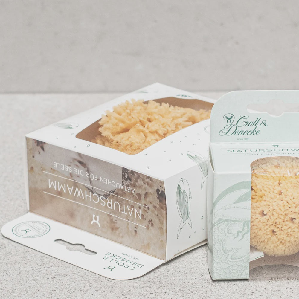 Sea Sponge Natural 12cm Boxed